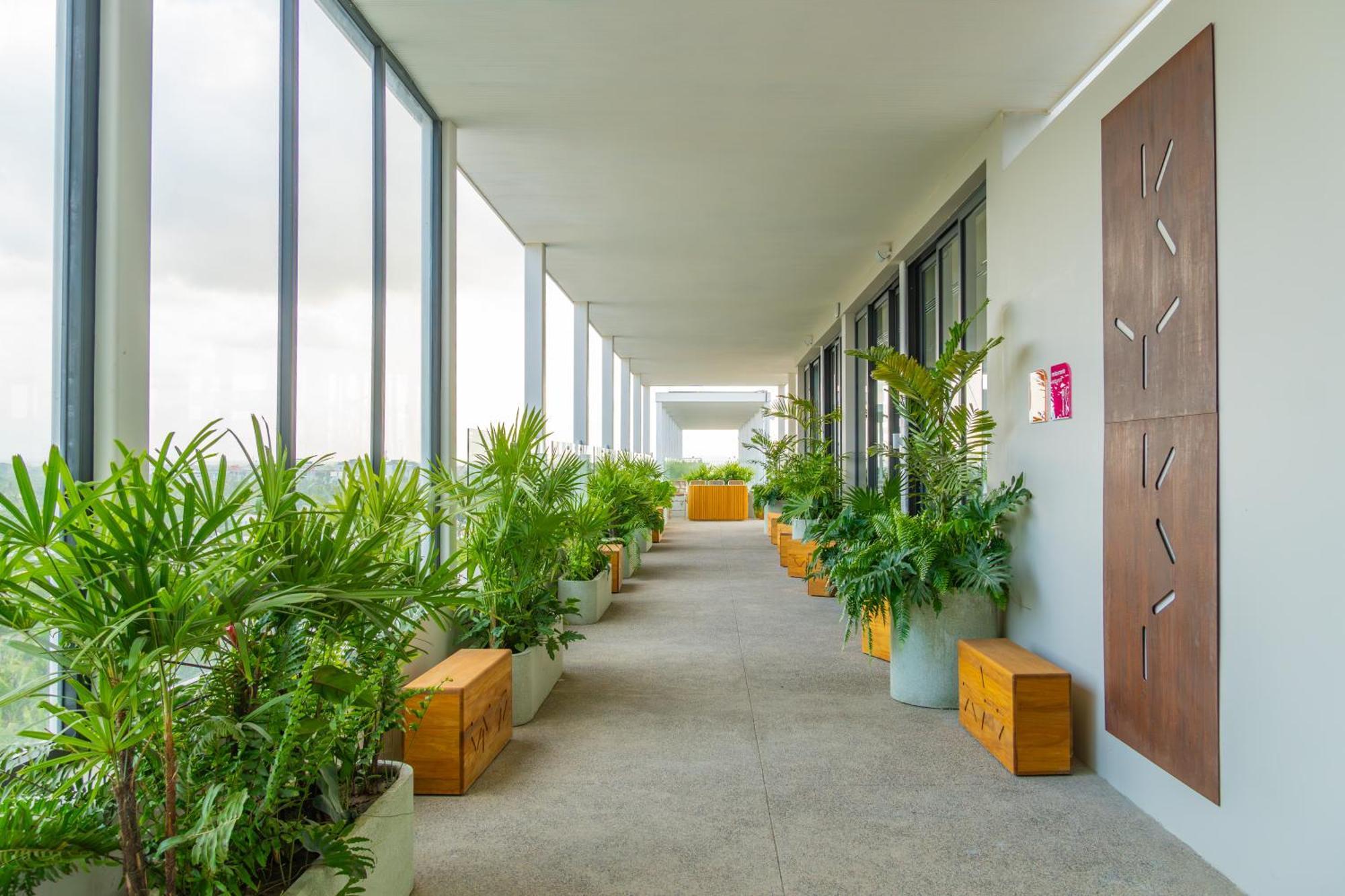 Hotel Mio Riviera Nayarit Unique & Different Adults Only Nuevo Vallarta Εξωτερικό φωτογραφία